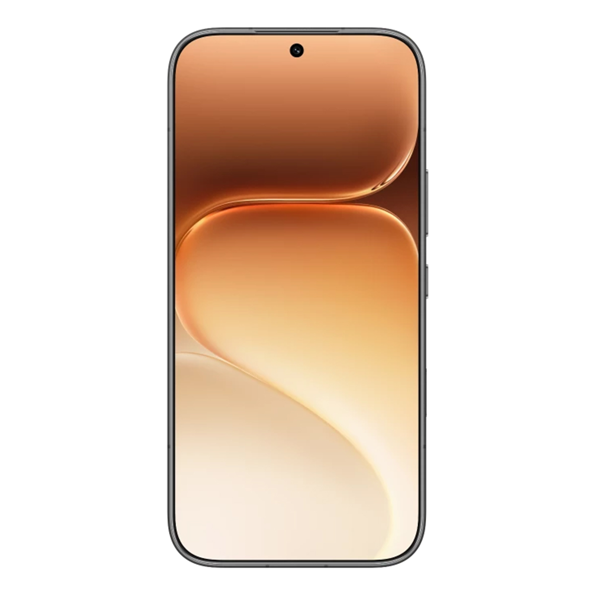 HONOR 600 Pro 12/256Gb Black, чёрный